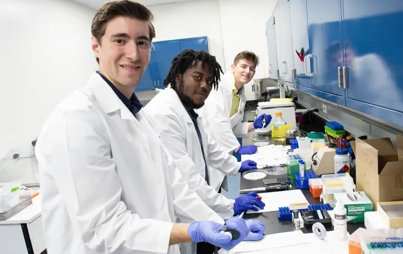 PCOM students working in the Bio-Imaging Lab