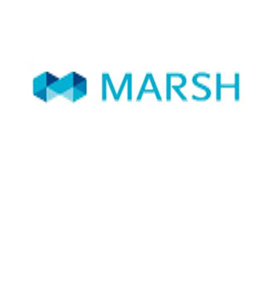 Marsh, Inc. company logo