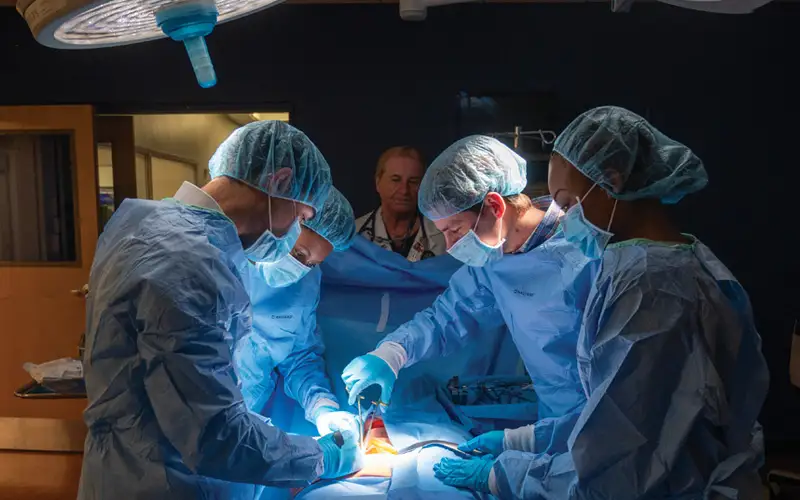 During a simulated surgery, doctor of osteopathic medicine students at PCOM Georgia gain invaluable experience in the intensity and precision required for real-life operative procedures.