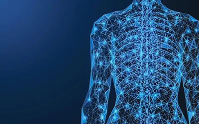 Human torso with neural network highlighted in neon blue