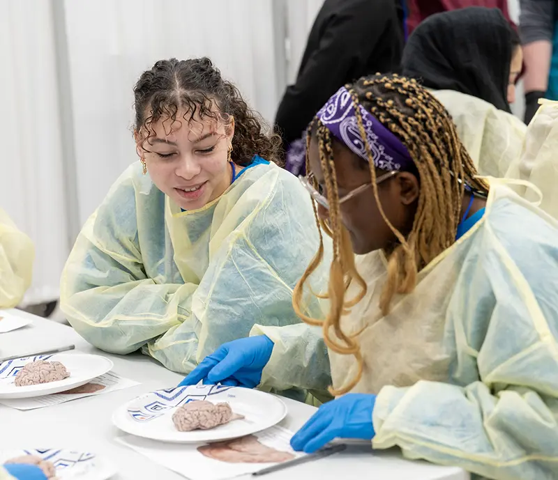 High school students smile while working through a dissection activity at PCOM's Opportunities Academy summer STEM program