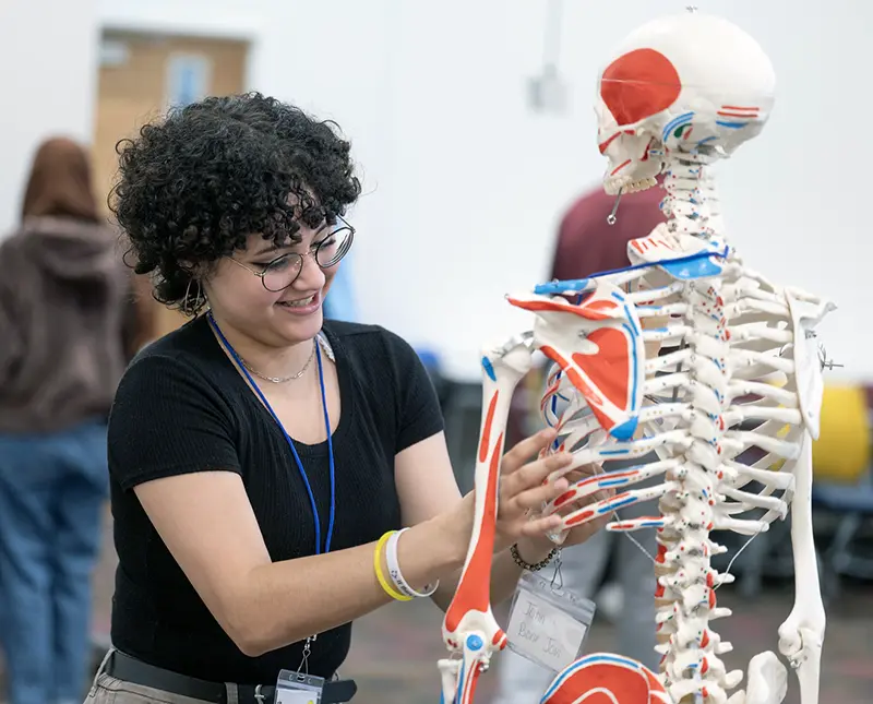 A Moultrie area high school student smiles as she interacts with a skeletal model during the PCOM South Georgia Opportunities Academy summer STEM program