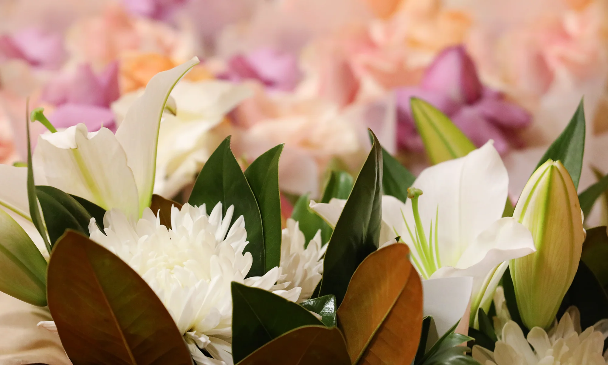 Macro photo of an arrangement of flowers at a PCOM Body Donor Memorial Service event