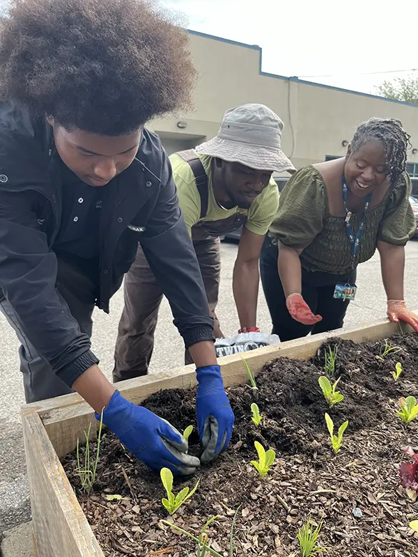 Participants use their hands to plant seedlings in a community garden bed in Philadelphia