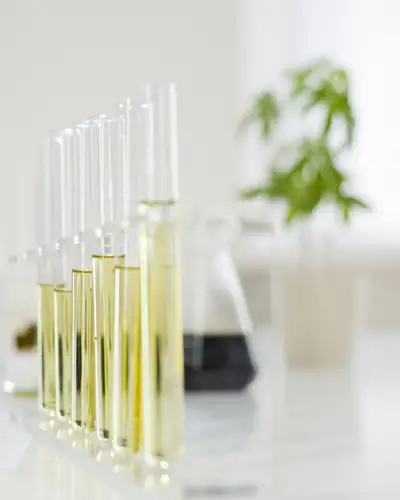 Lab vials filled with liquid with cannabis plant blurred in background