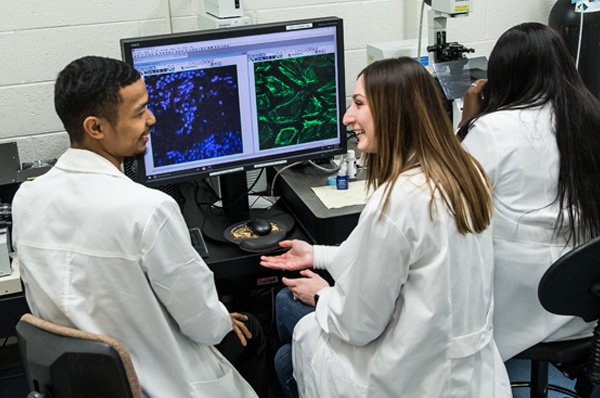 PCOM biomedical sciences students work together at a computer in the biomed lab.