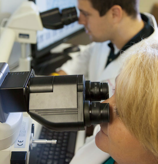 Researchers looking through electronic microscopes.