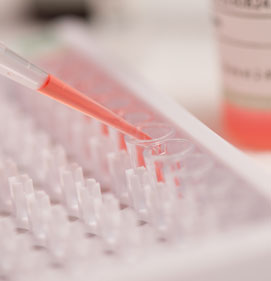 Macro shot of liquid dropper and beakers on a research lab table.