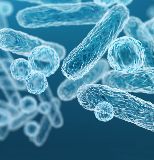 Graphic render of microscopic bacteria and virus