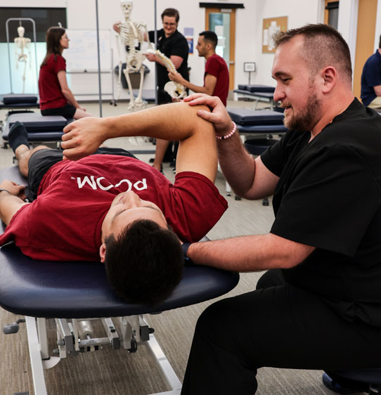 PCOM faculty teaching DO students OMM techniques